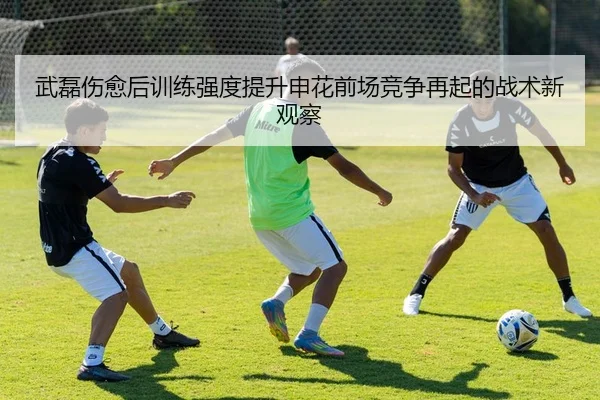 武磊伤愈后训练强度提升申花前场竞争再起的战术新观察