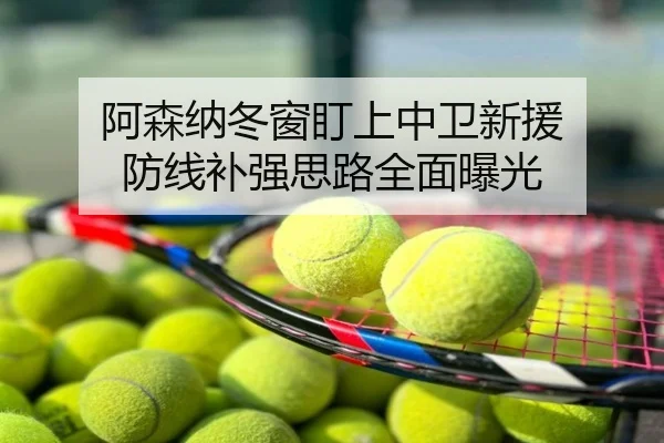 阿森纳冬窗盯上中卫新援 防线补强思路全面曝光